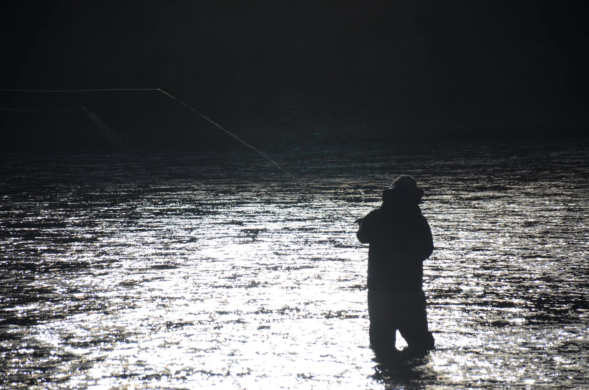 Quick Review RB Meiser Trout Spey Swing the Fly