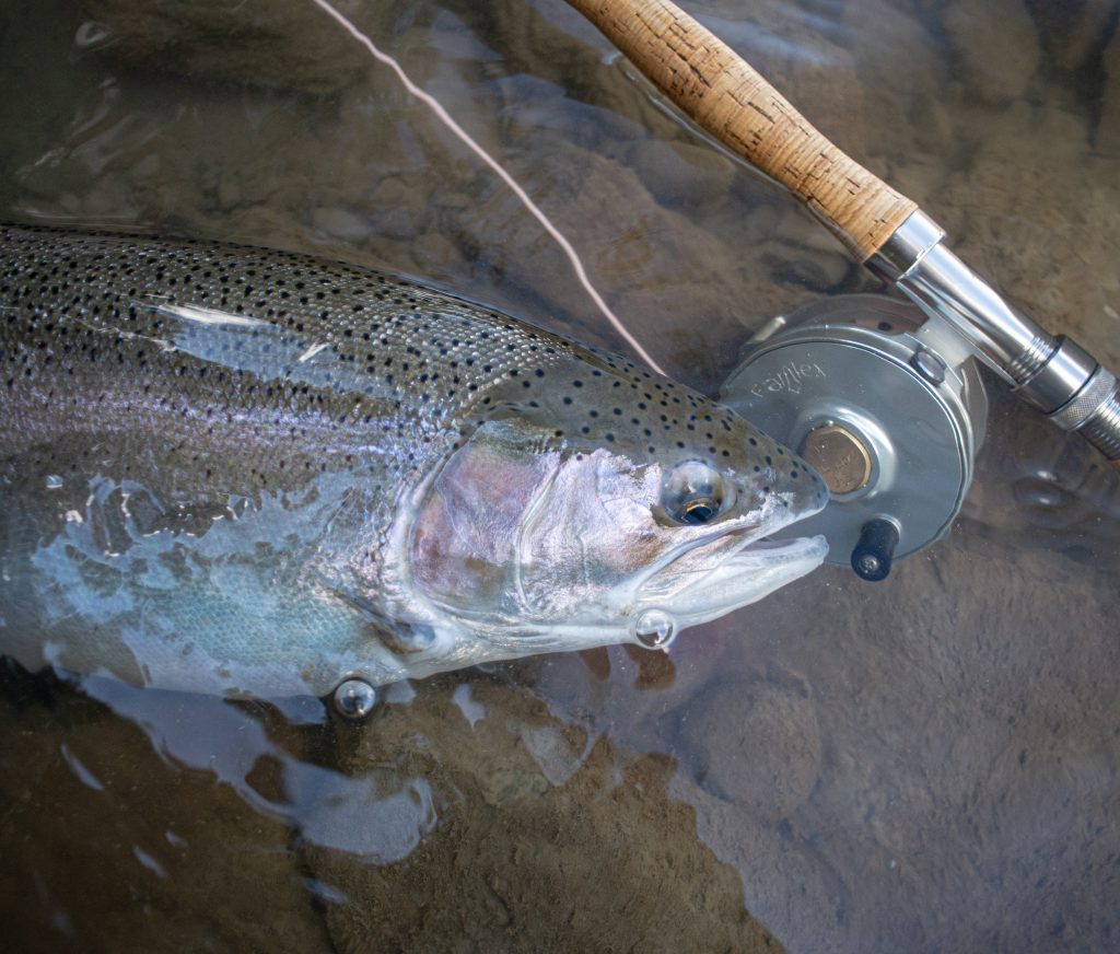 Spey Terminology and Rigging – Swing the Fly