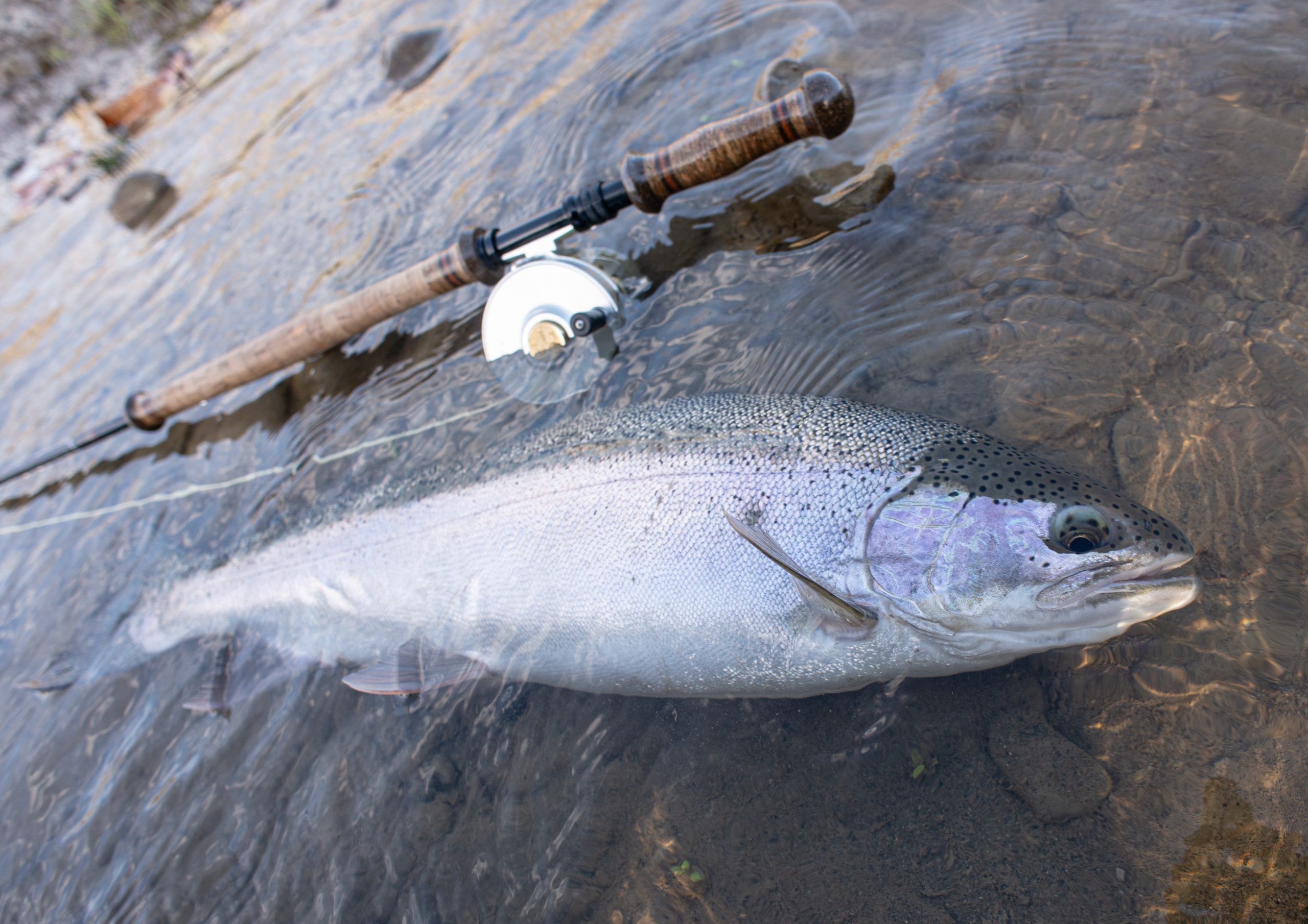 Rods and Rigs for the Great Lakes