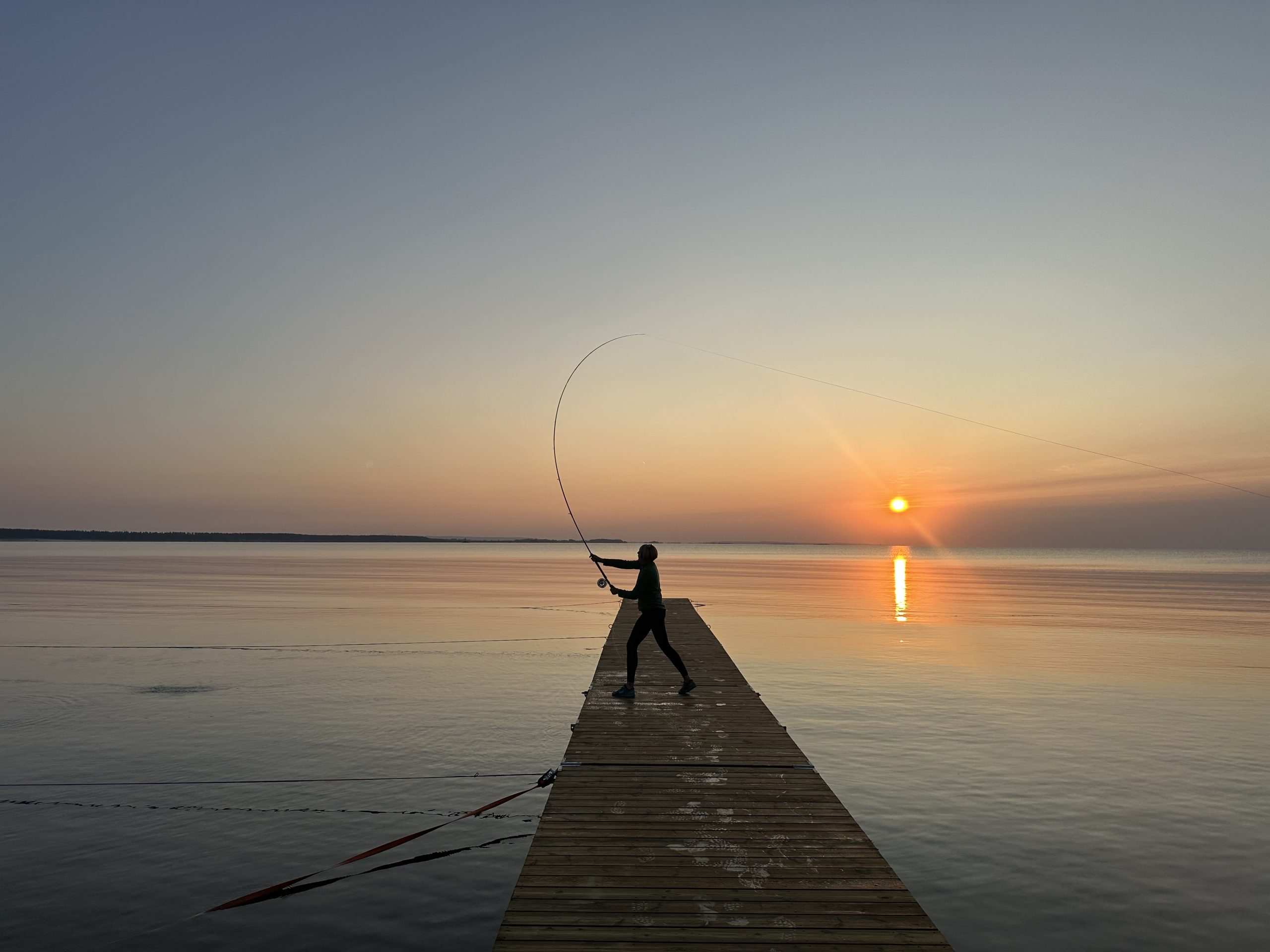 Icons – Kara Knight