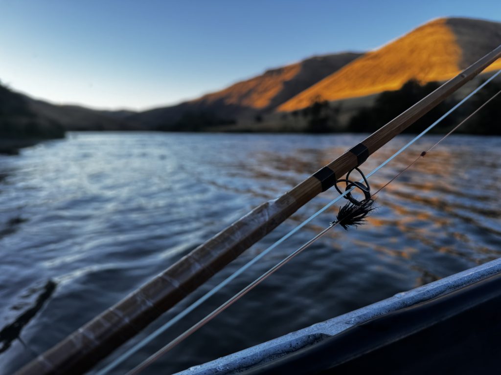 Thank You: New & Continuing Partners