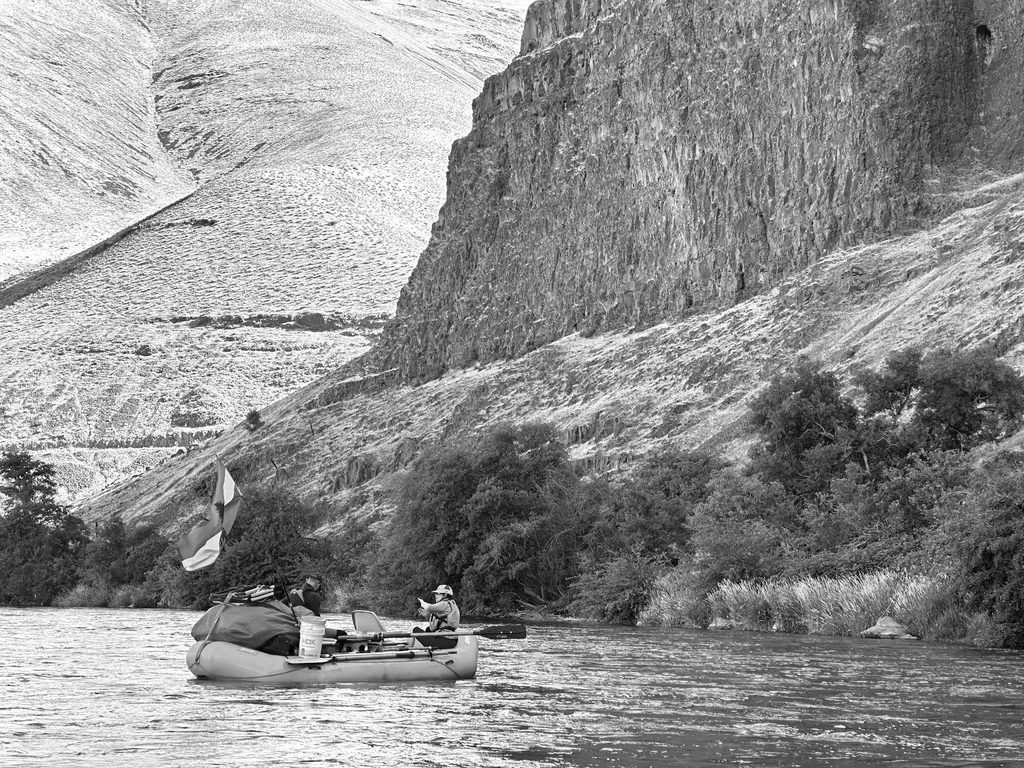 Columbia River Wild Steelhead: Will An Iconic Species Rebound, Limp Along, or Fade Away? Pt. 1